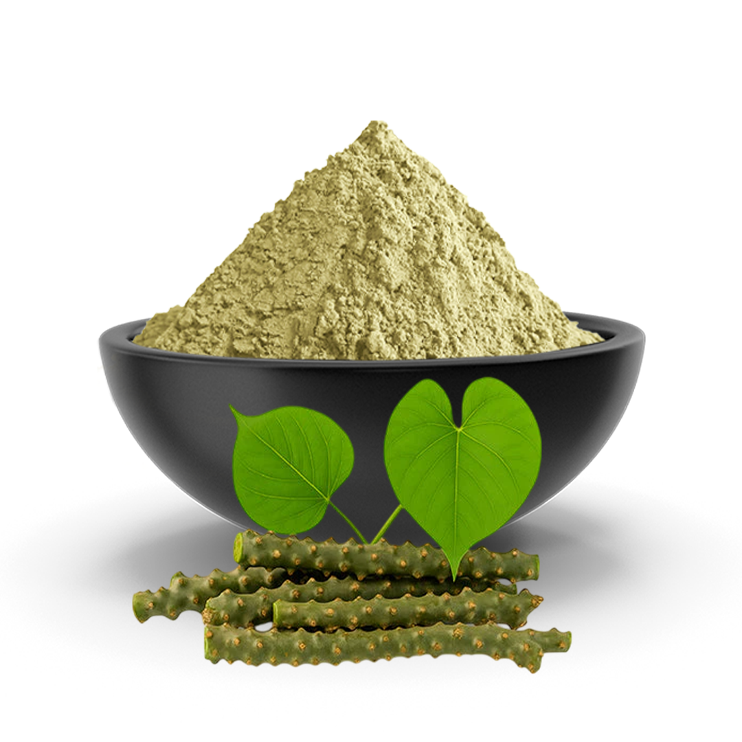 Guduchi Powder 100% Natural | Giloy Powder - Amrita Churn | Help To Increase Immunity For Men & Women